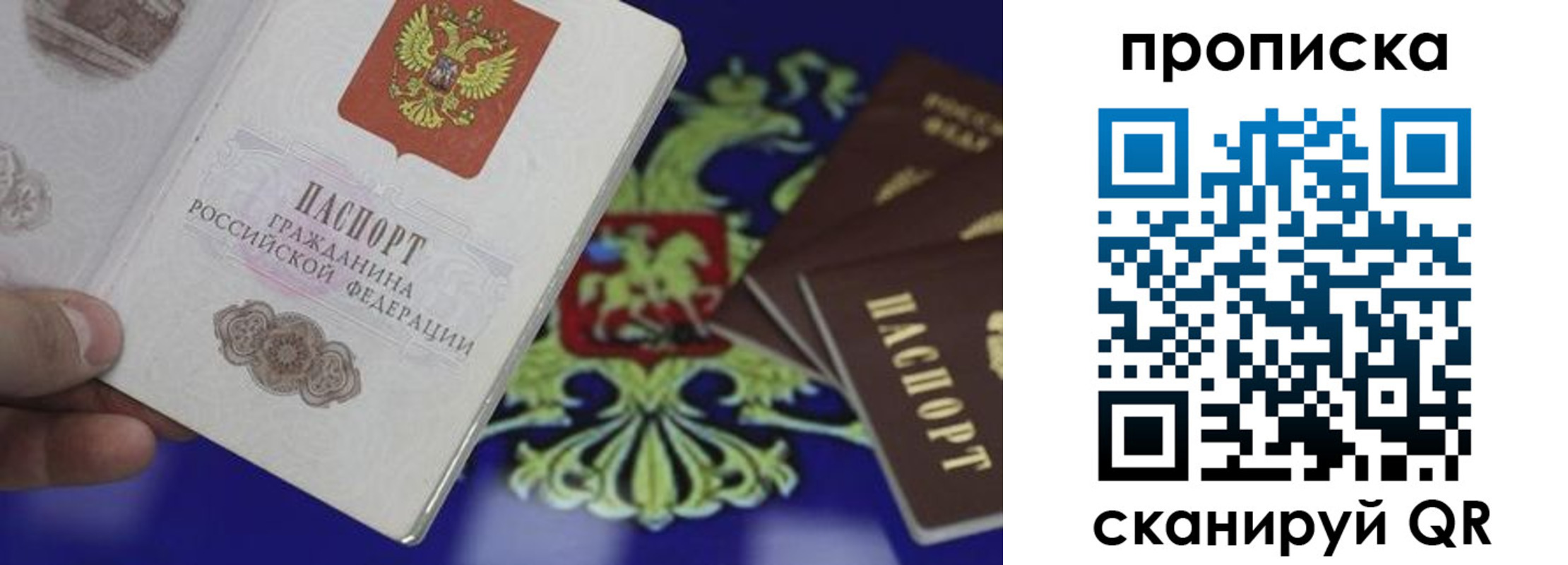 прописка поиск в Барнауле